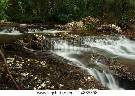 Goomoolahra creek at Springbrook National Park in Queensland.