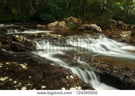 Goomoolahra creek at Springbrook National Park in Queensland.
