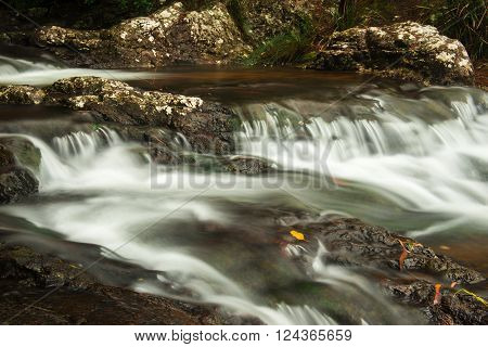 Goomoolahra creek at Springbrook National Park in Queensland.