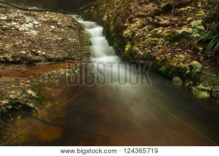 Goomoolahra creek at Springbrook National Park in Queensland.