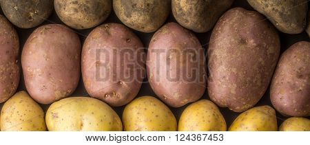 Raw potatoes mix background wide screen letterbox format