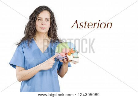 Physiotherapy/doctor Pointing To A Conjunction Of Suture In A Skull.