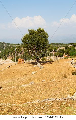 Ruins     From The Hill In Asia  And Nature