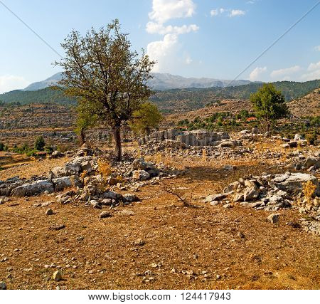 Turkey Selge    Architecture Ruins And Nature