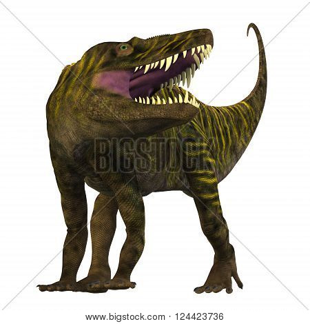 Batrachotomus on White 3D illustration - Batrachotomus was a carnivorous archosaur predator that lived in Germany during the Triassic Period.