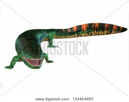 Eogyrinus Tetrapod Body 3D illustration - Eogyrinus was an aquatic predatory tetrapod that lived in the Carboniferous Period of England.