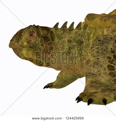 Proganochelys Turtle Head 3D illustration - Proganochelys is the second oldest turtle species discovered and lived in Germany and Thailand in the Triassic Period.