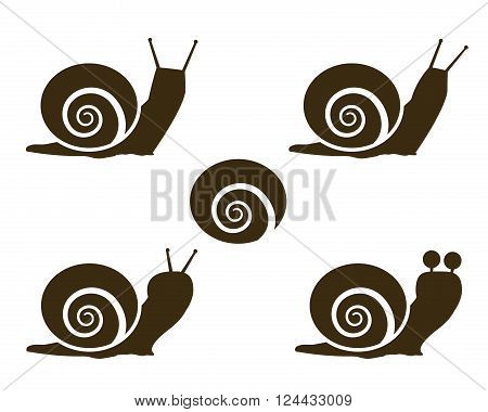Set of Snail icon and signs vector