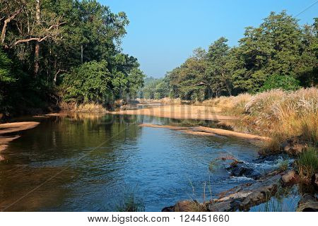 Landscape with a river and forest trees, Kanha National Park, India