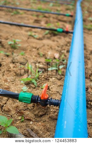 water system in field with valves and pipe