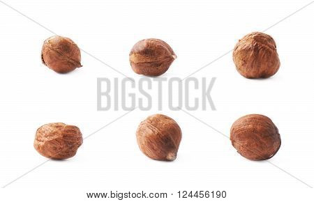 Mulitple single hazelnut nuts isolated over the white background, set of six images