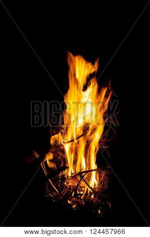 Forest fire in the form of a deer from the burning of wood