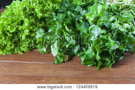 Green Fresh Salad