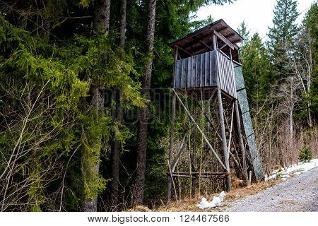 An elevated wooden platform known as Tree stand or Deer stand in the forest for hunters to have a better sight