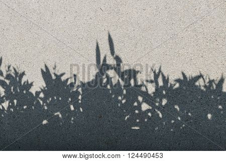 tree shadow on gravel texture as background