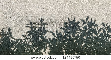 tree shadow on gravel texture as background