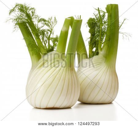 Fresh fennel bulb isolated on white background close up