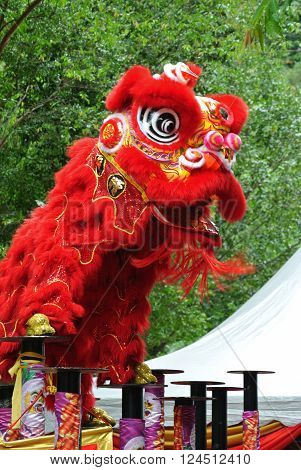 SELANGOR, MALAYSIA -FEBRUARY 18, 2016: The lion dance is a ritual traditions of the Chinese society in Malaysia. The dance is usually played during the Chinese New Year.