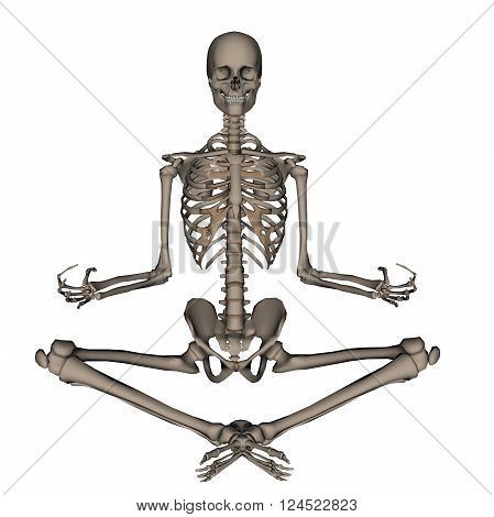 Frontview of human skeleton meditation isolated in white background - 3D render