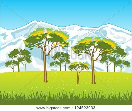 The High snow mountains and field with flower.Vector illustration