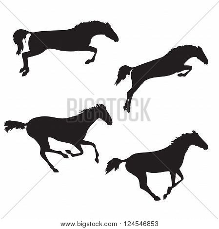 Set of five realistic horses. Black horses on isolated background. Set of wild horses. Vector horse collection. Silhouettes of horses.