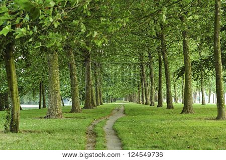 Path in a park of Caen (Calvados Normandy France) in a summer evening