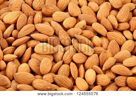 Badam or Almond nuts  .Selective focus photograph.