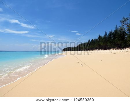 Picturesque tropical sea beach in Andaman and Nicobar Islands, India, Asia.