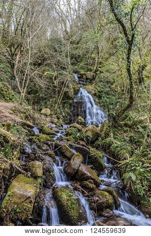 Beautiful Waterfall in Nature Basgue Country  Spain
** Note: Soft Focus at 100%, best at smaller sizes