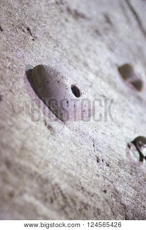 Indoor Climbing Wall Rock Holds