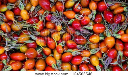 photo of a rosehip berries, picked and scattered for drying