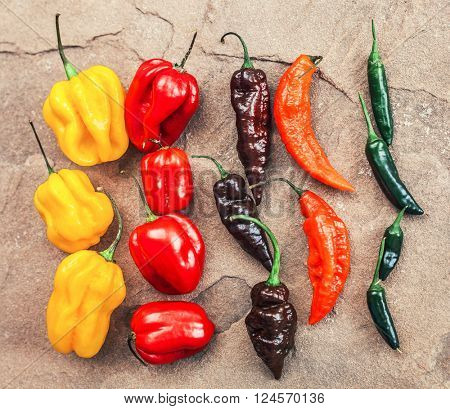 Chili hot peppers