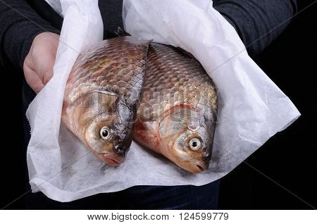 Man holding fresh crucian carp close-up on a folded paper