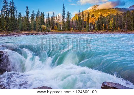Powerful and scenic Athabasca Falls. Emerald water roars and foams on steep slope. Canada, Jasper National Park