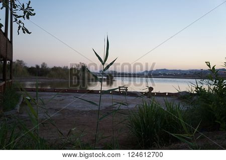 Twilight in the Ornitological birding park, Eilat, Israel