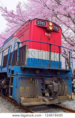 JINHAEKOREA - APRIL 4 : Jinhae Gunhangje Festival is the largest cherry blossom festival in Korea.Tourists taking photos of the beautiful scenery around JinhaeKorea on April 4, 2015.
** Note: Soft Focus at 100%, best at smaller sizes