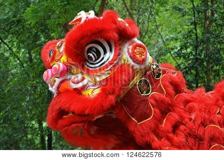 SELANGOR, MALAYSIA -FEBRUARY 18, 2016: The lion dance is a ritual traditions of the Chinese society in Malaysia. The dance is usually played during the Chinese New Year.