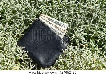 purse on the ground with money. Lost wallet