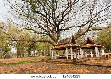 Shadow from giant tree and old style garden structures in the depths of a beautiful park Thailand. Sukhothai historical park is a UNESCO World Heritage Site.