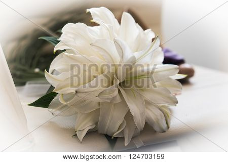 Women shoes with flowers on a light background.