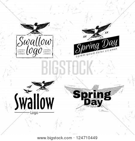 Swallow or martlet bird as main element of logotype on white background.