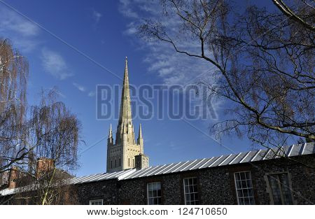 Norwich Cathedral