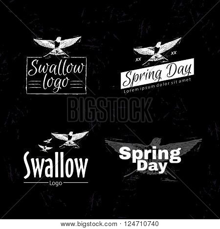 Swallow or martlet bird as main element of logotype on black background.