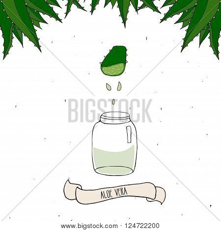 Aloe Vera juice in bottle. Hand drawn illustration isolated on white. Slice of Aloe Vera with drops