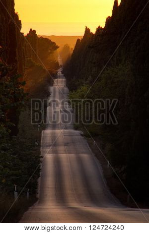 Italy, Tuscany, Castagneto Carducci, Bolgheri, Road And Cypresses