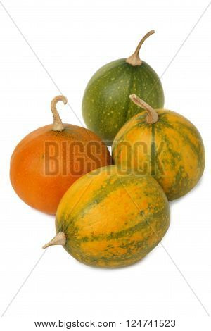 Small ornamental pumpkins isolated on white background
