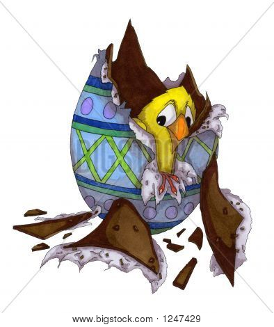 Chick1
