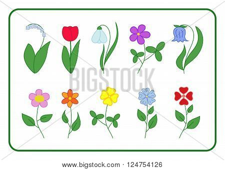 Tree cartoon flower icons set. Nature floral flat signs isolated on white background. Summer and spring tulip bell lily of the valley chamomile snowdrop bucaneve clover rose Vector illustration