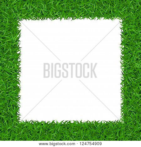 Green grass frame with copy-space. Square border template isolated on white background. Abstract plant texture. Symbol of environment nature eco and fresh ecology Organic design Vector Illustration