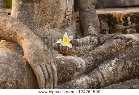 Flower in the hand of Buddha ancient sculpture